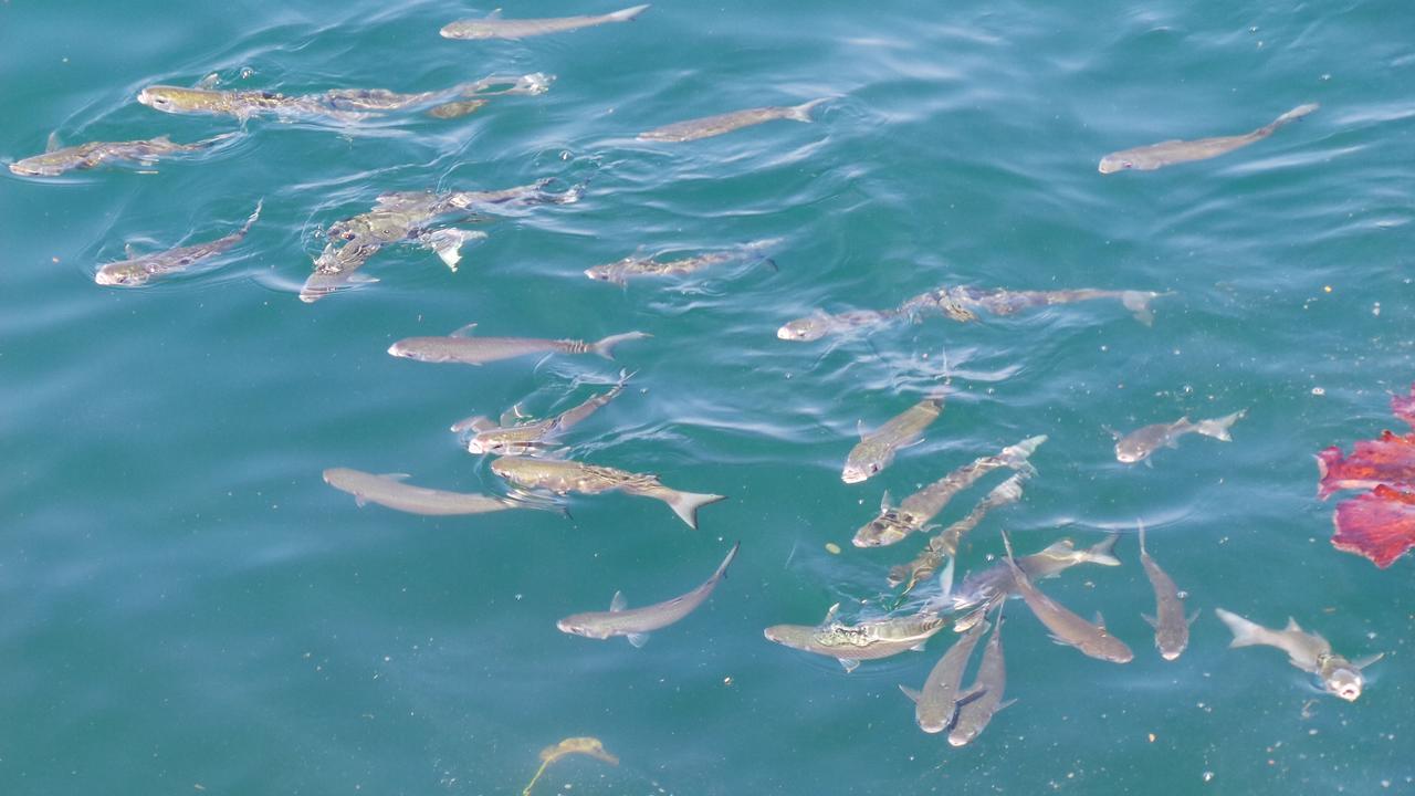 Ocean Green Flats Άνγκρα Ντος Ρέις Εξωτερικό φωτογραφία